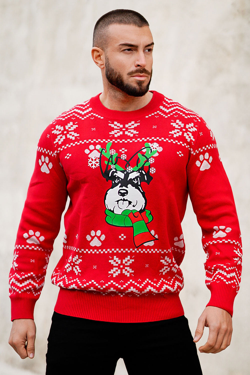 warm sweaters for men - christmas Print